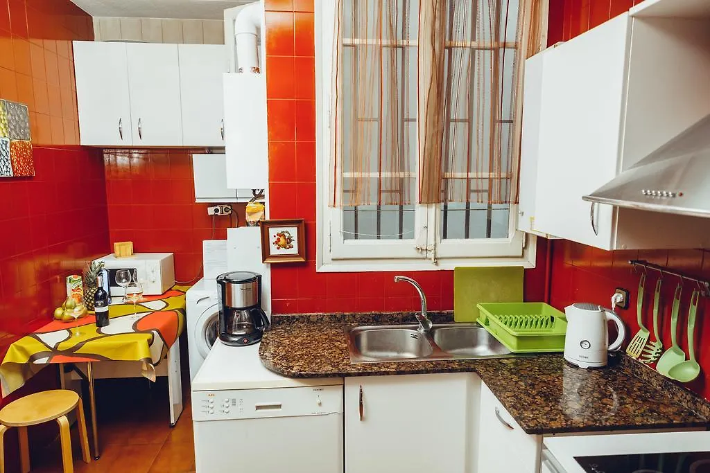 Grand Central Apartment Barcelona Spanje